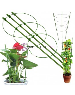 Кръгла подпора за растения и цветен пръстен